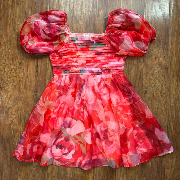 Knitworks Other - Floral Print Pink & Red Puff Sleeve Pleated Bodice Babydoll Dress